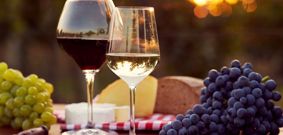 City Vineyard Value Wines